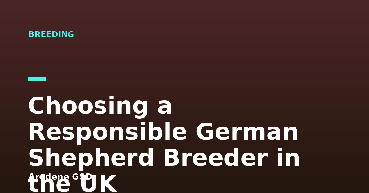 Choosing a Responsible German Shepherd Breeder in the UK